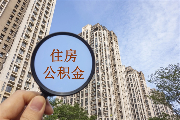 陇南辞职了补充公积金能取不（辞职后补充公积金如何提取）